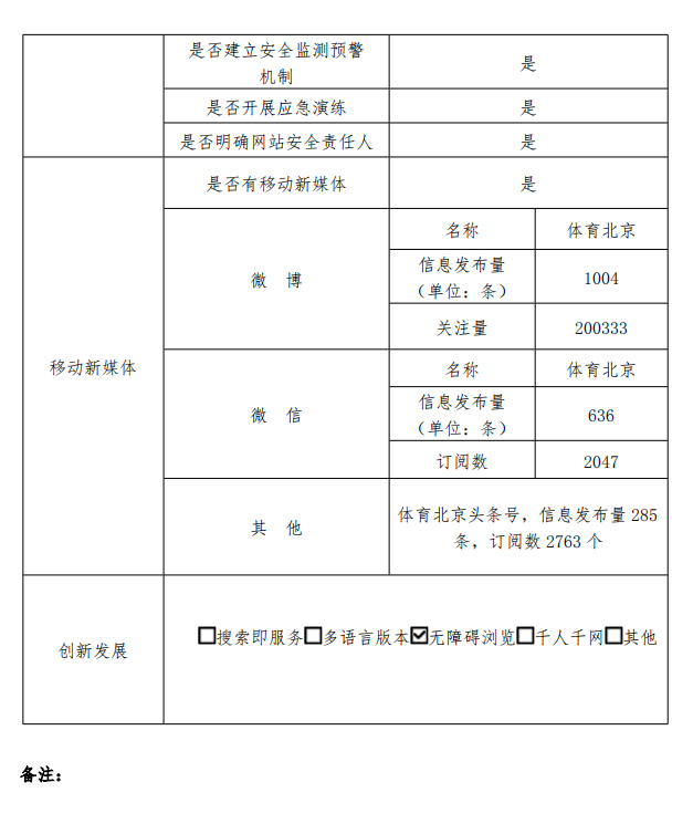 政府网站工作年报-3